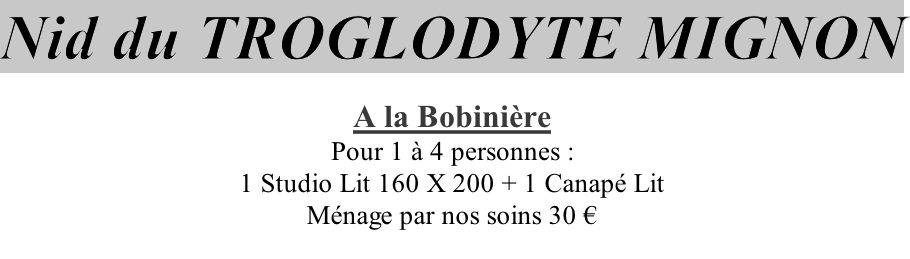 Nid du TROGLODYTE MIGNON  A la Bobinière Pour 1 à 4 personnes : 1 Studio Lit 160 X 200 + 1 Canapé Lit Ménage par nos soins 30 €