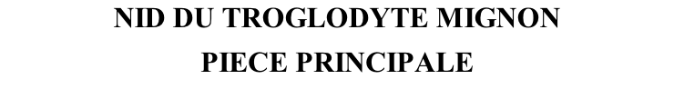 NID DU TROGLODYTE MIGNON PIECE PRINCIPALE