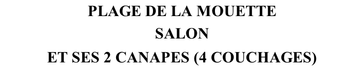 PLAGE DE LA MOUETTE SALON ET SES 2 CANAPES (4 COUCHAGES)